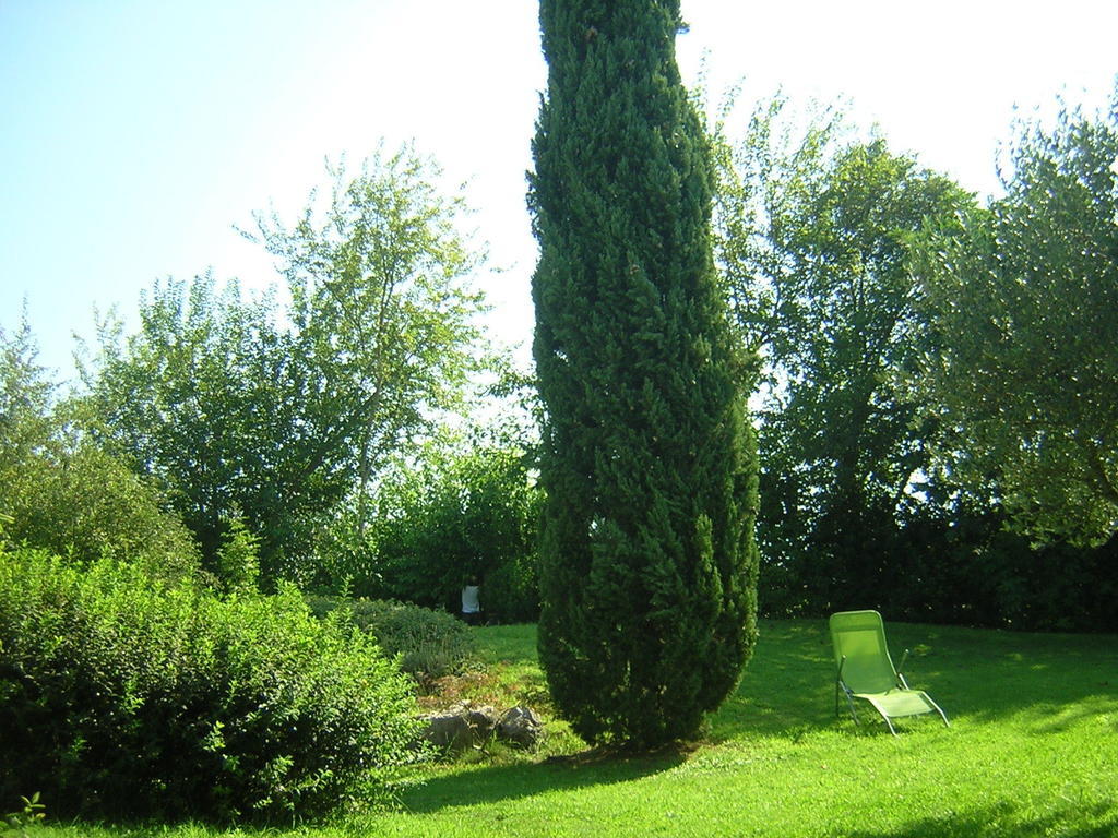 Trebisonda Country